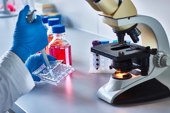 Scientist pipetting research samples by the microscope. Cancer research concept.